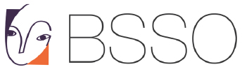 Kliknij, by przejść na stronę projektu BSSO